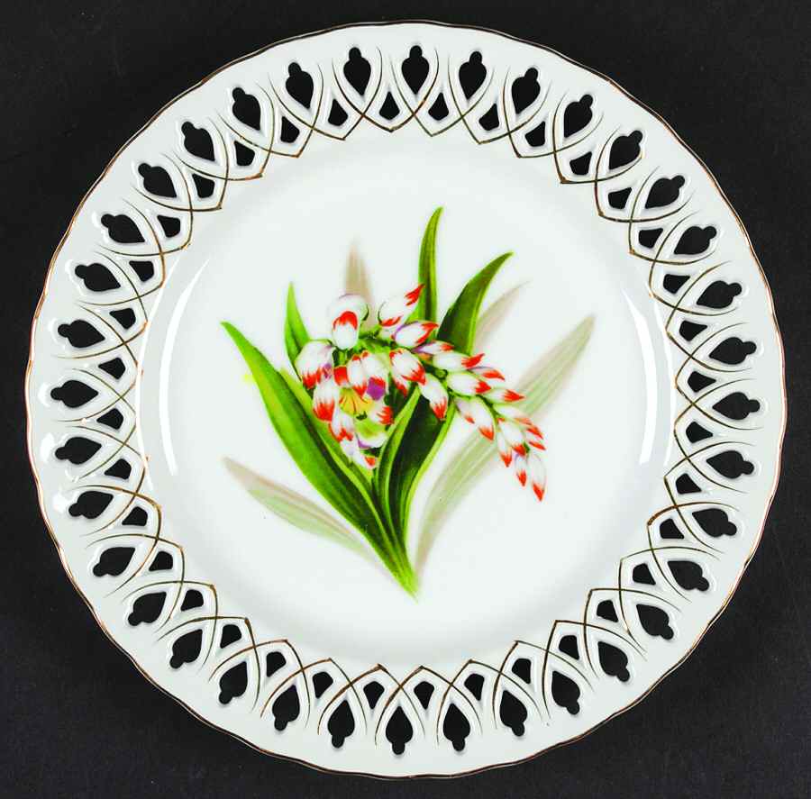 RSS2 Salad Plate by Rossetti-1