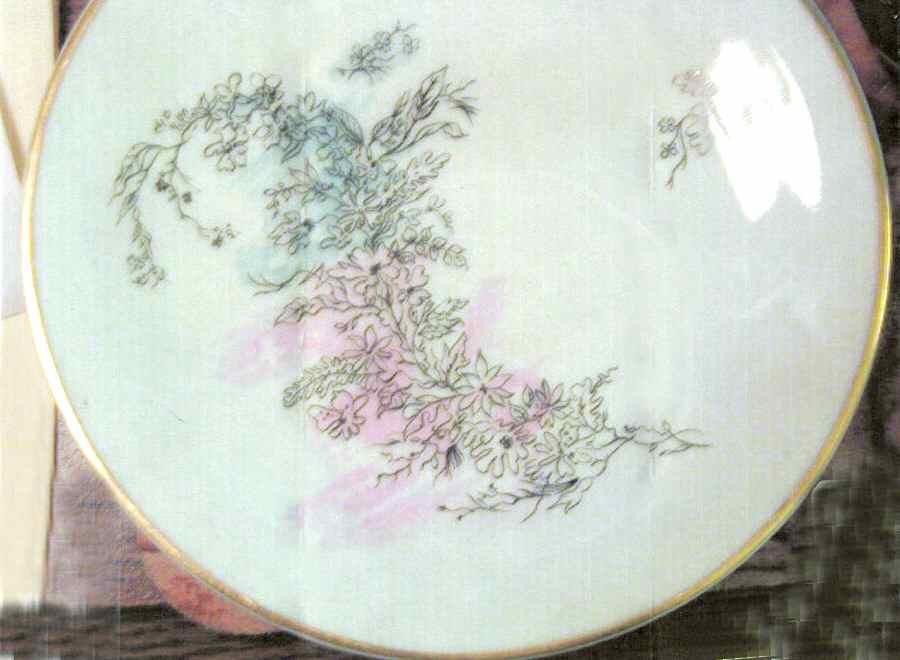 RYD74 Dinner Plate by Raynaud-1