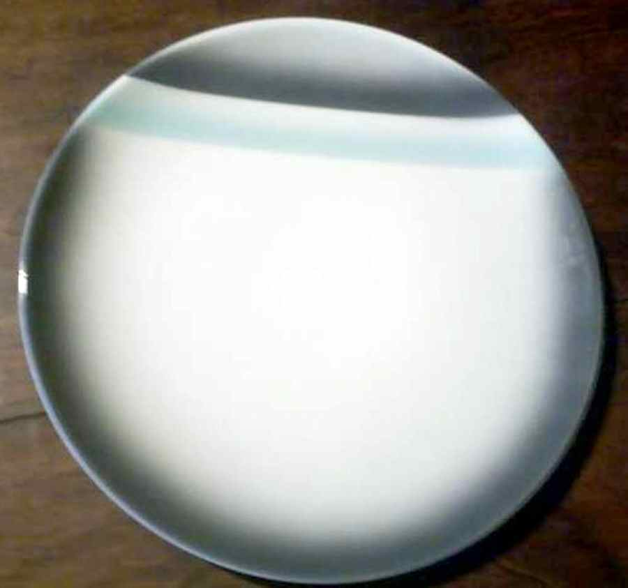 Casual Living Dinner Plate by Royal Jackson-1