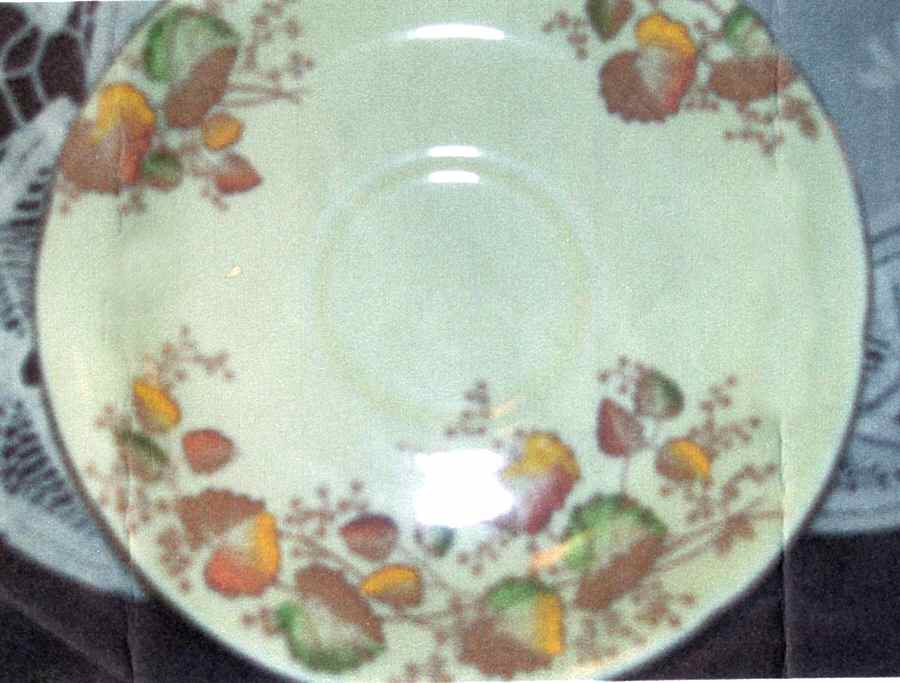 Woodville Saucer by Royal Grafton-1