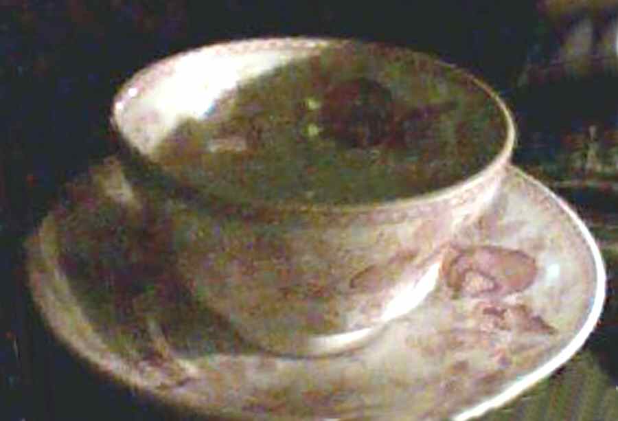 Shell Footed Cup w/No Handle by Ridgway (Ridgways)-1