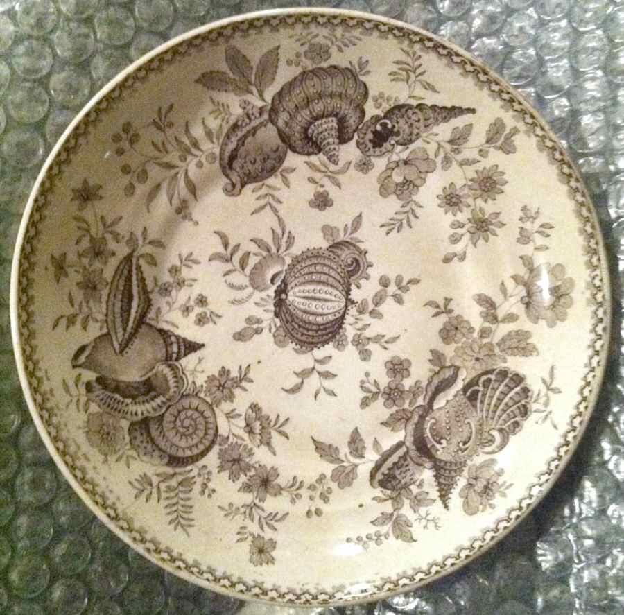 Shell Saucer for Footed Cup w/No Handle by Ridgway (Ridgways)-1