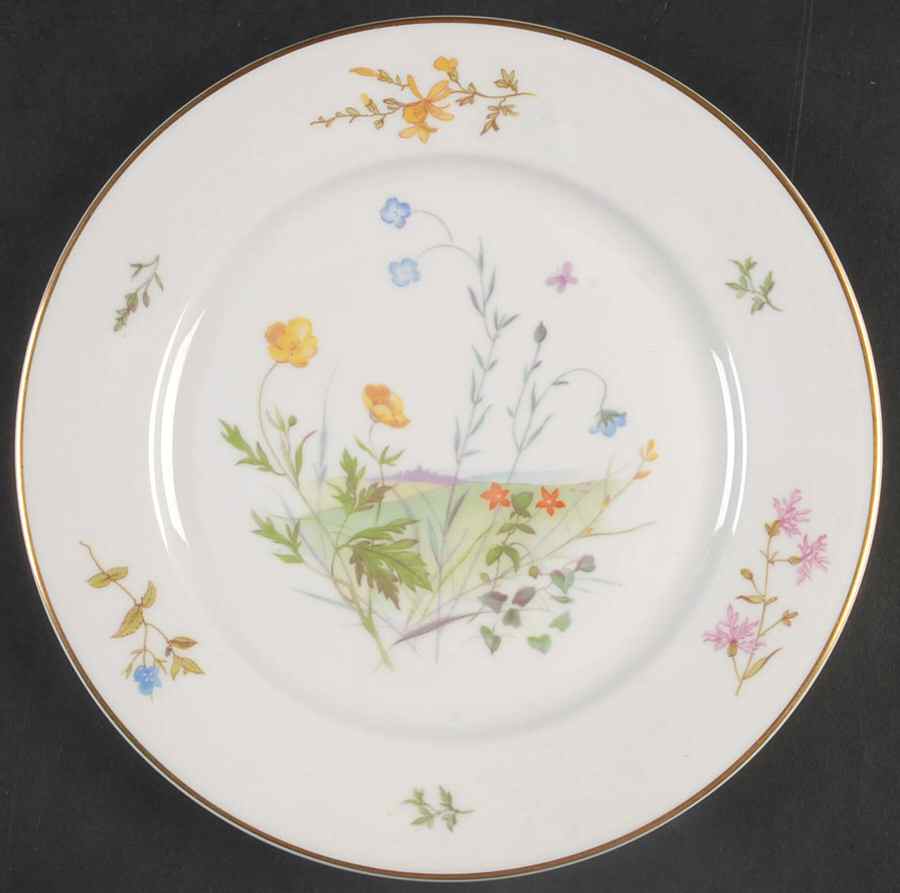 R2005 Salad Plate by Rosenthal - Continental-1