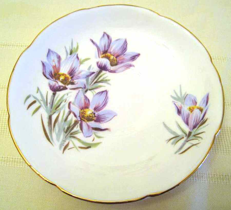 Manitoba Crocus Saucer by Royal Grafton-1