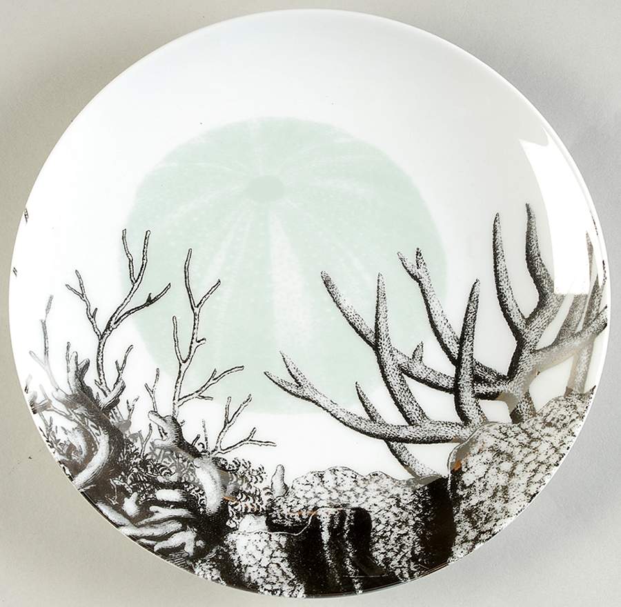La Mer Salad/Dessert Plate by Rosanna-1