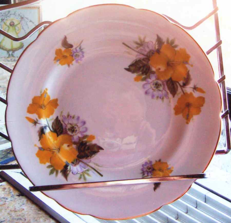 RE42 Dinner Plate by Regency-1