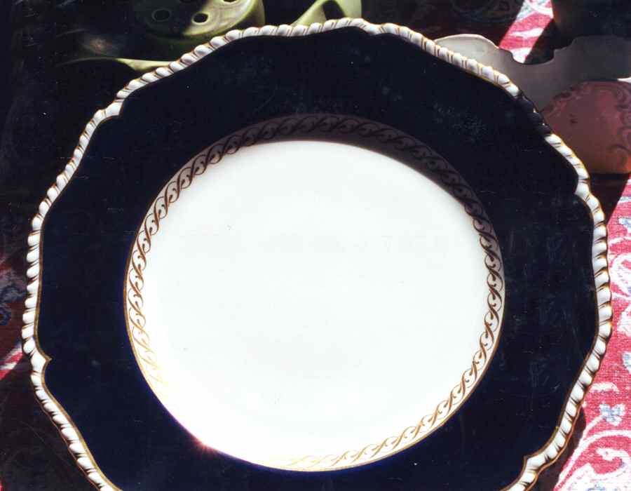 RW235 Dinner Plate by Royal Worcester-1