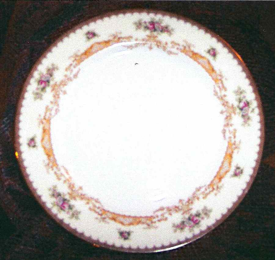 Roswell Dinner Plate by Royal Embassy-1