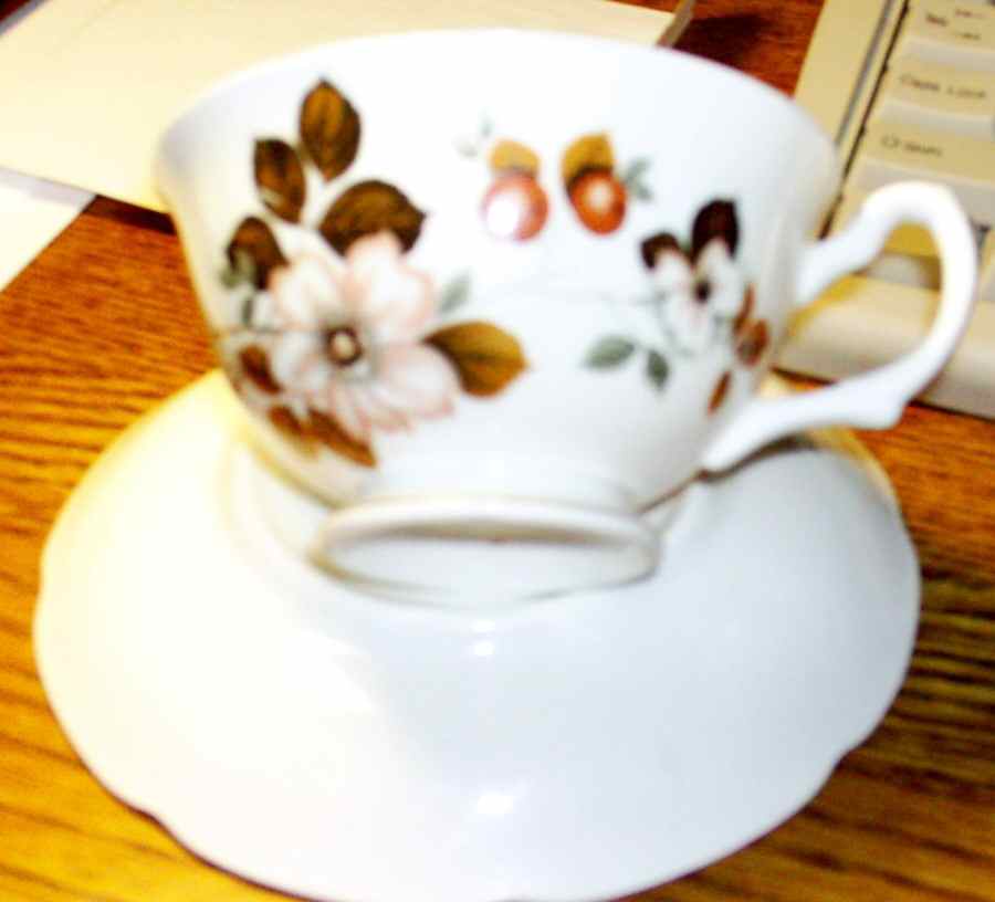 RGR106 Footed Cup & Saucer Set by Royal Grafton-1