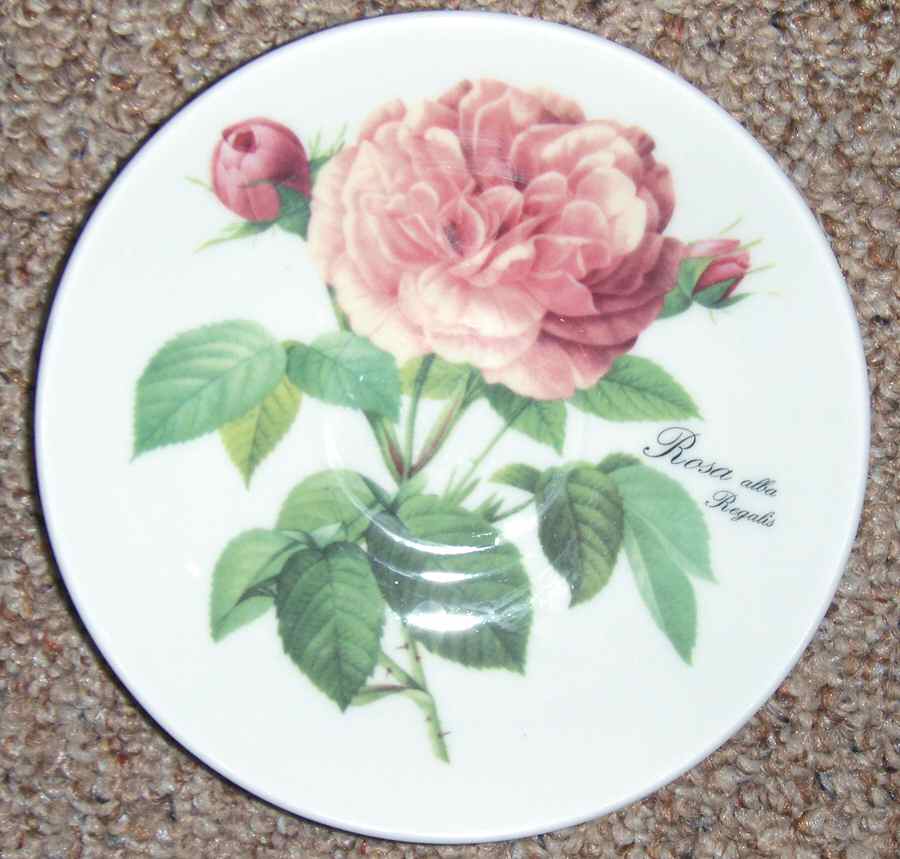Rose Collection, The Saucer by Roy Kirkham-1