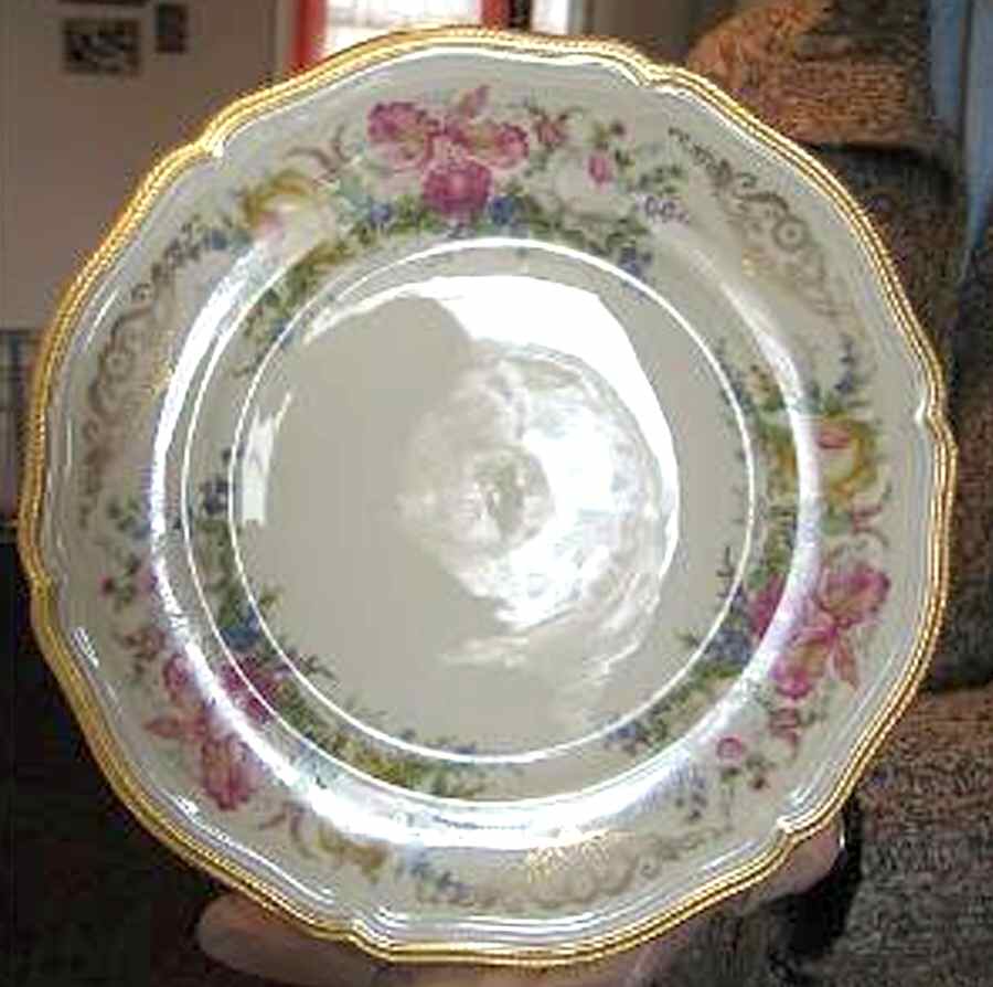R2024 Dinner Plate by Rosenthal - Continental-1