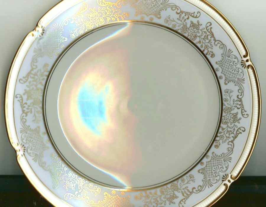 ROH23 Dinner Plate by Royal Heidelberg-1