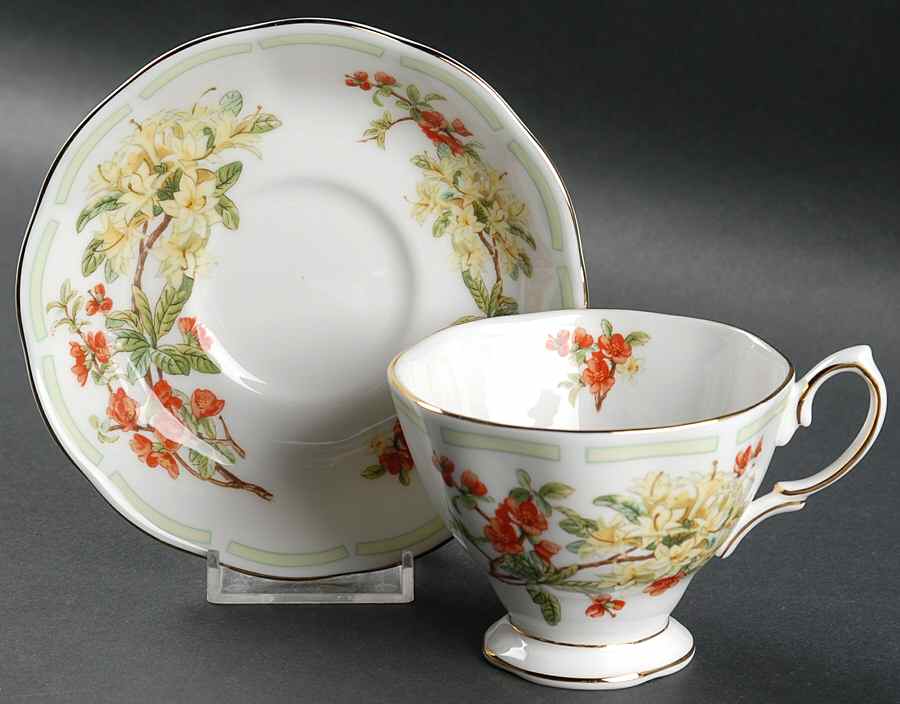 Botanical Teas Footed Cup & Saucer Set by Royal Albert-1
