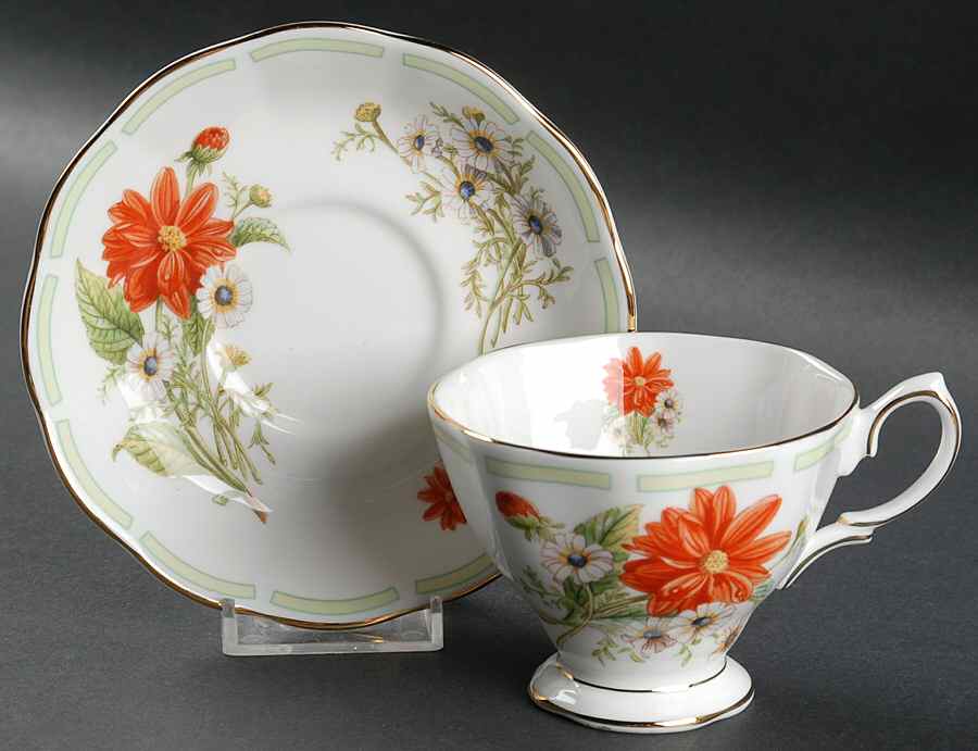 Botanical Teas Footed Cup & Saucer Set by Royal Albert-1