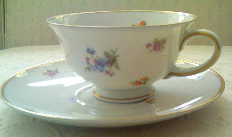 R2039 Footed Cup & Saucer Set by Rosenthal - Continental-1