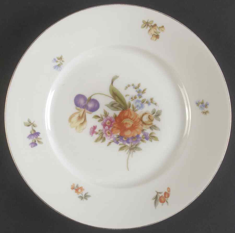 R2044 Dinner Plate by Rosenthal - Continental-1