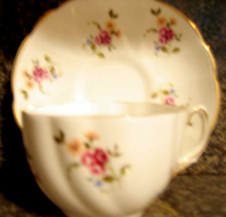 1392 Flat Cup & Saucer Set by Royal Grafton-1