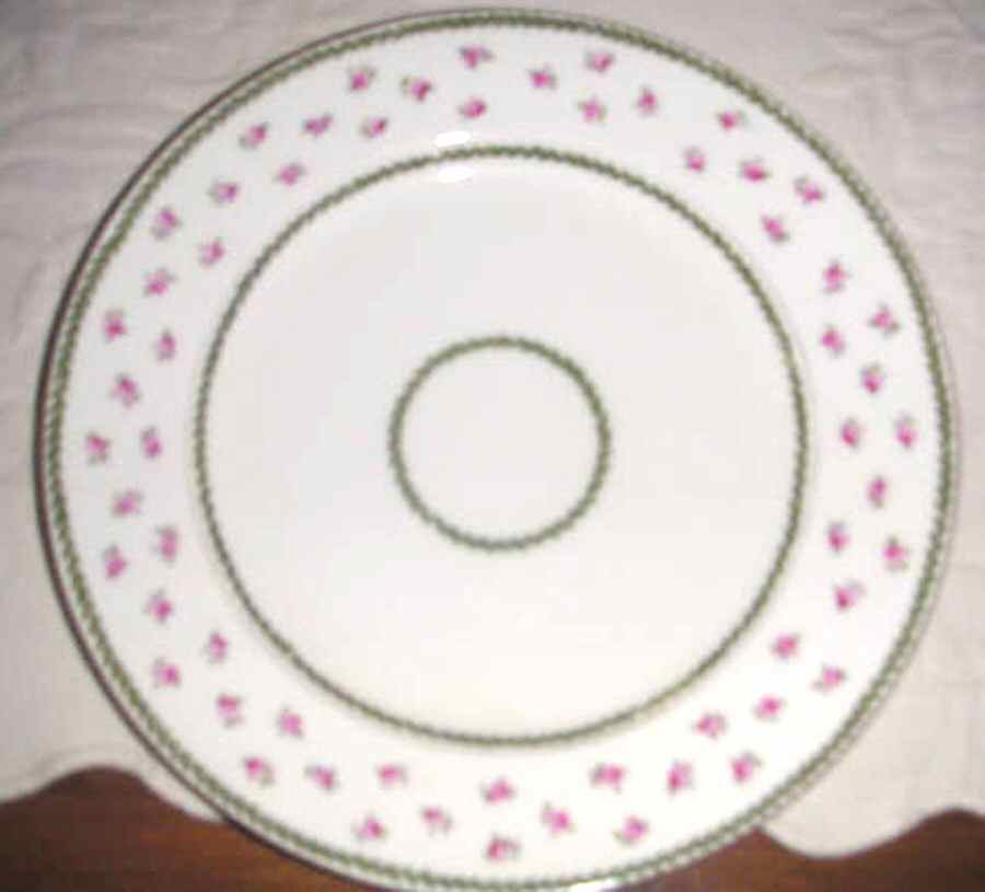 E1262 Dinner Plate by Royal Doulton-1