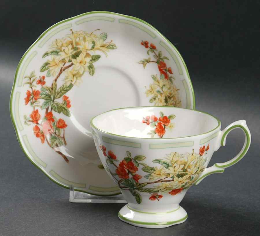 Botanical Teas (Green Trim) Footed Cup & Saucer Set by Royal Albert-1