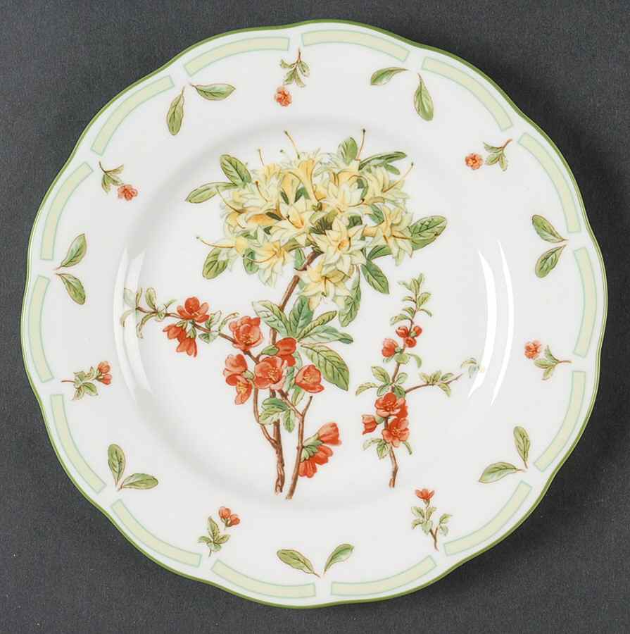 Botanical Teas (Green Trim) Salad Plate by Royal Albert-1