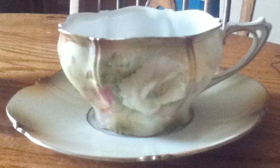 RPU27 Flat Cup & Saucer Set by RS Prussia-1
