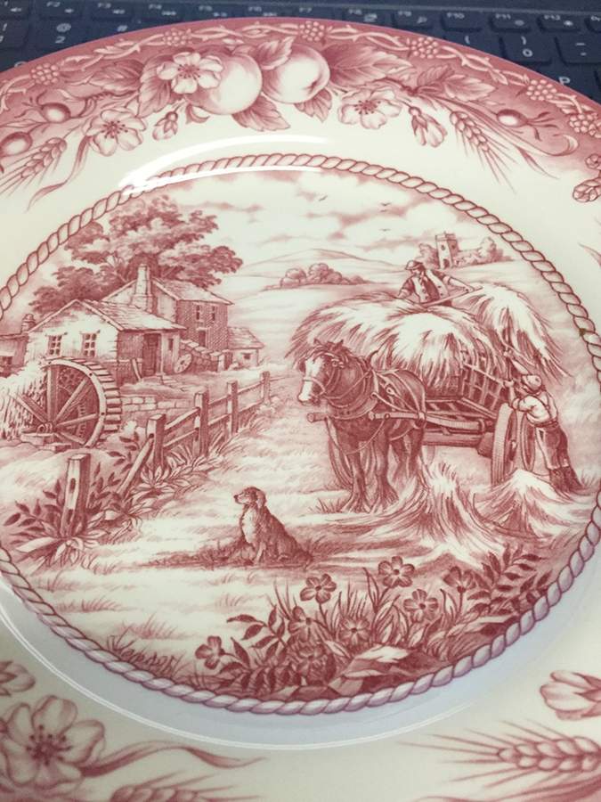 Hayride Red Dinner Plate by Royal Stafford-1