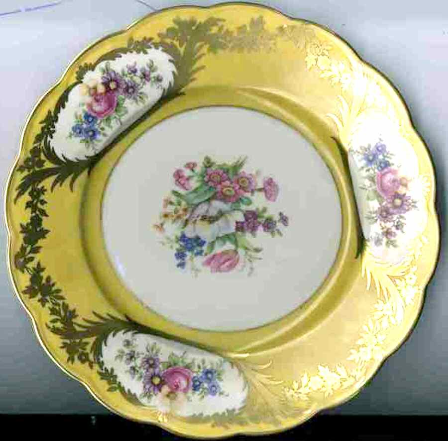 ROT282 Dinner Plate by Royal Tettau-1