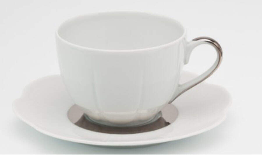 Fleur'T Platinum Flat Cup & Saucer Set by Royal Limoges-1