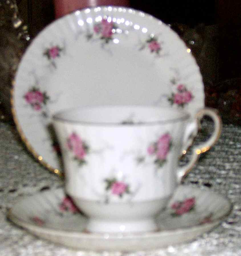 Cottage Rose Footed Cup & Saucer Set by Royal Windsor-1