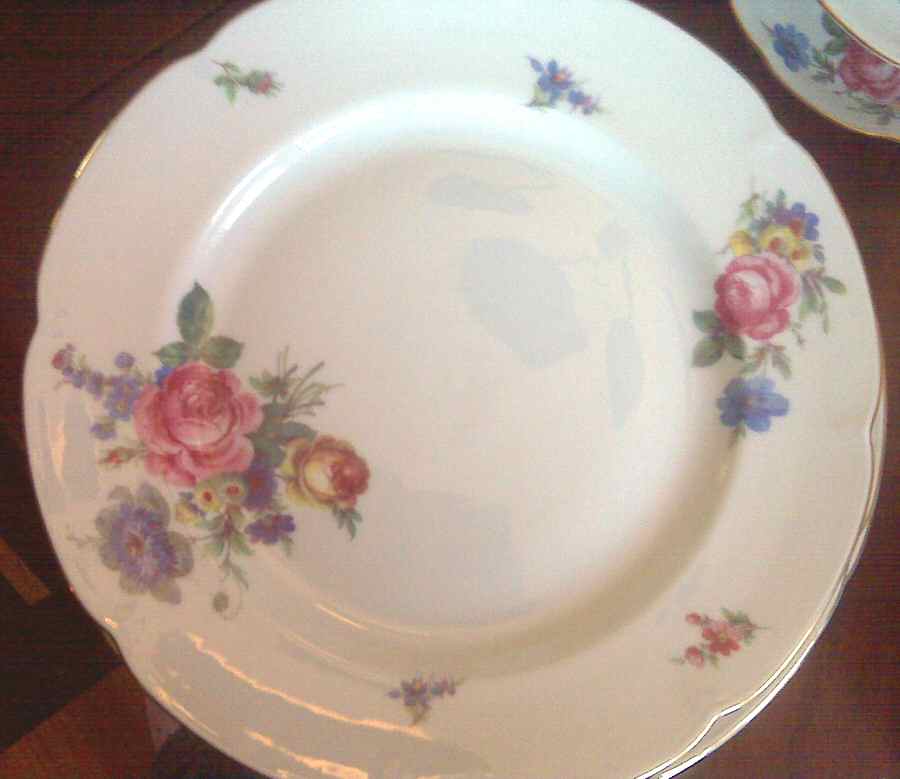 ROB417 Dinner Plate by Royal Bayreuth-1