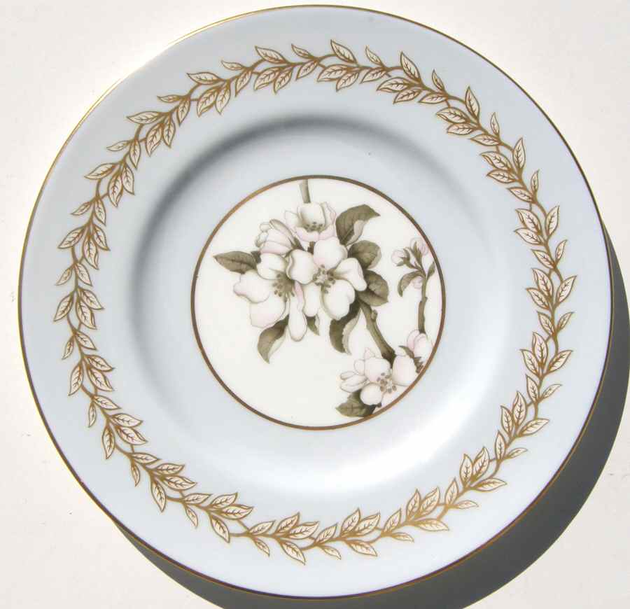 RW246 Dinner Plate by Royal Worcester-1