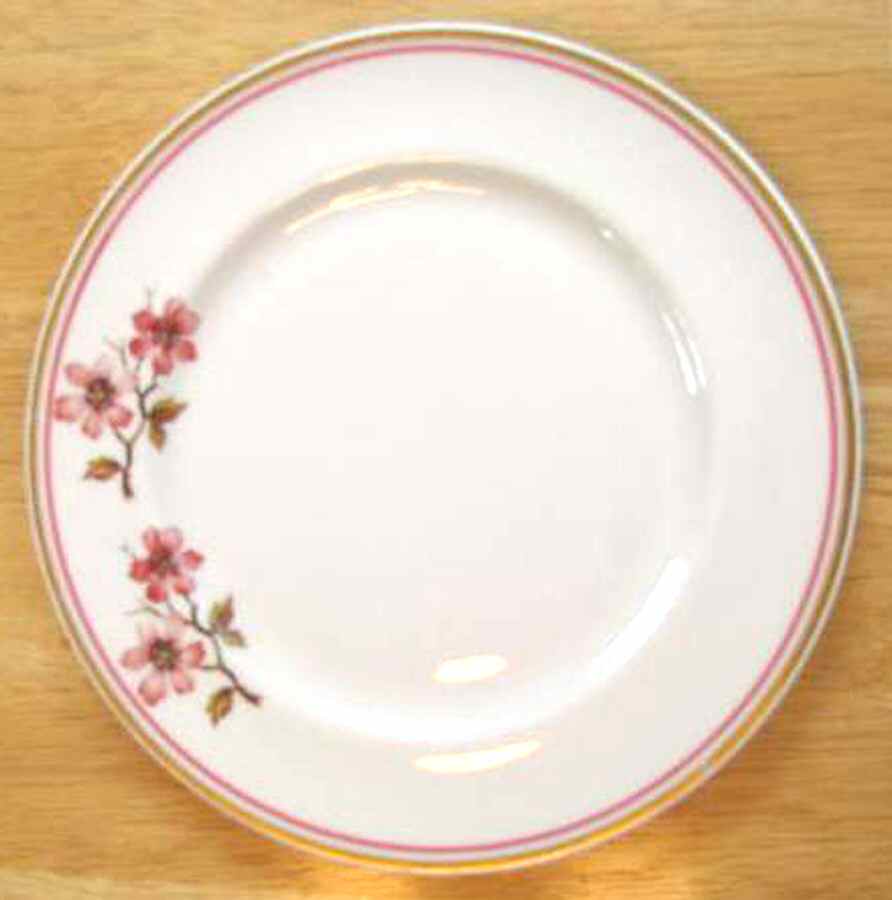 ROJ253 Dinner Plate by Royal Jackson-1