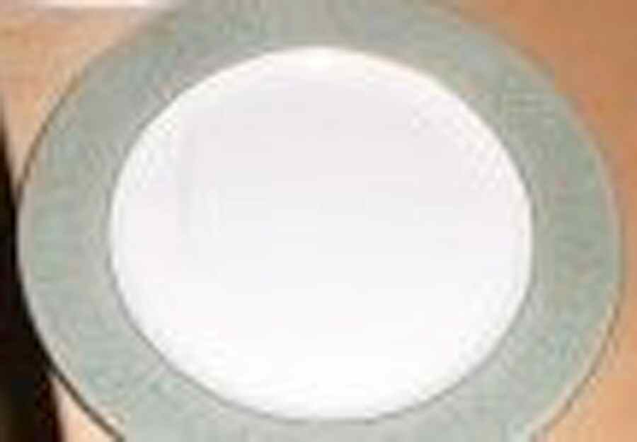 RW249 Dinner Plate by Royal Worcester-1