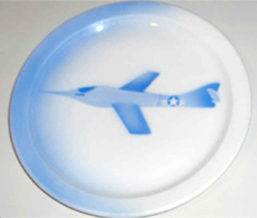 ROJ254 Dinner Plate by Royal Jackson-1