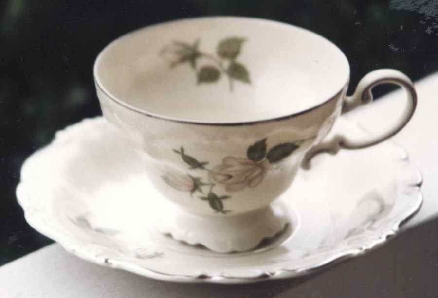 R2103 Footed Cup & Saucer Set by Rosenthal - Continental-1