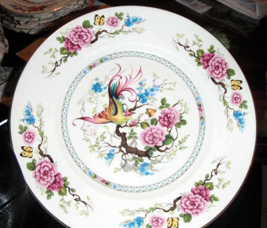 Tahiti Dinner Plate by Royal Grafton-1