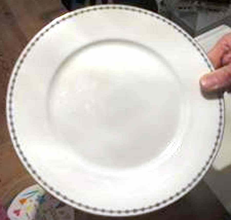 499 Dinner Plate by Rosenthal - Continental-1