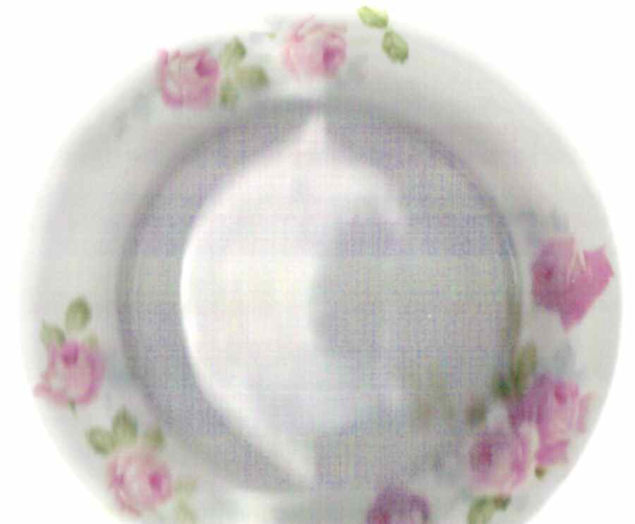 R2111 Rim Soup Bowl by Rosenthal - Continental-1