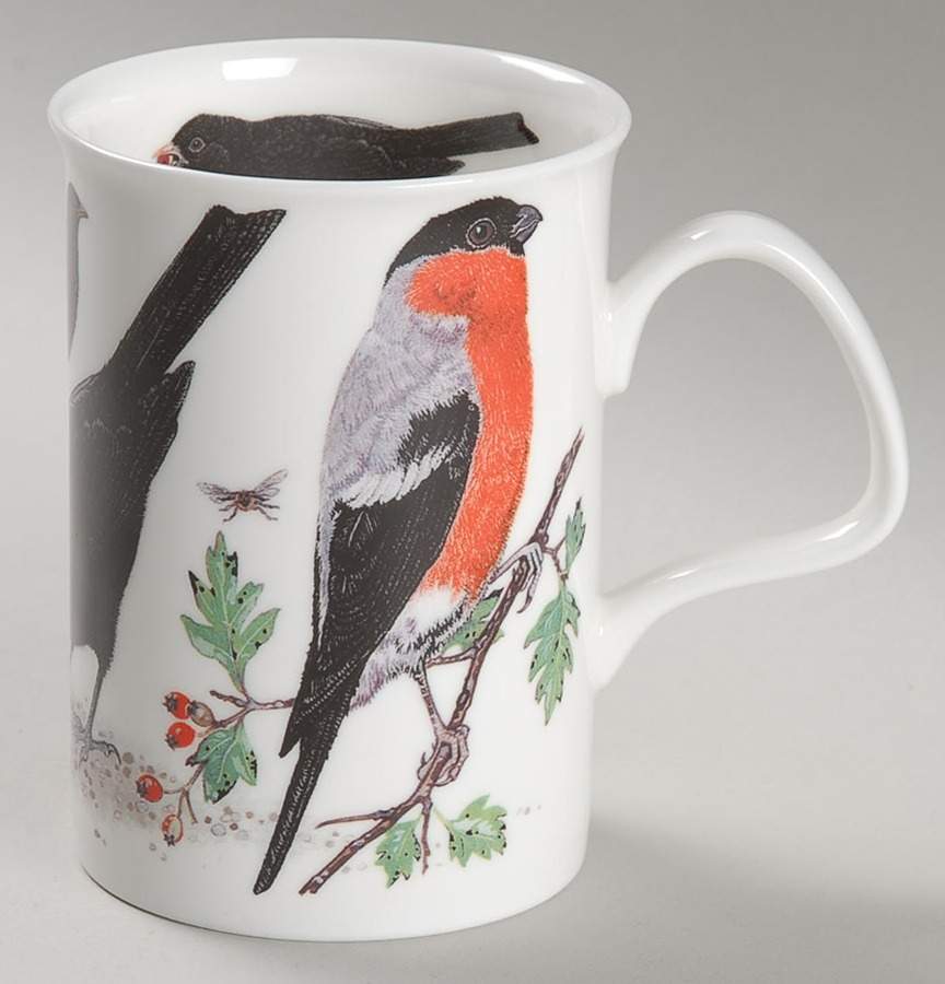 Garden Birds Lancaster Mug by Roy Kirkham-1