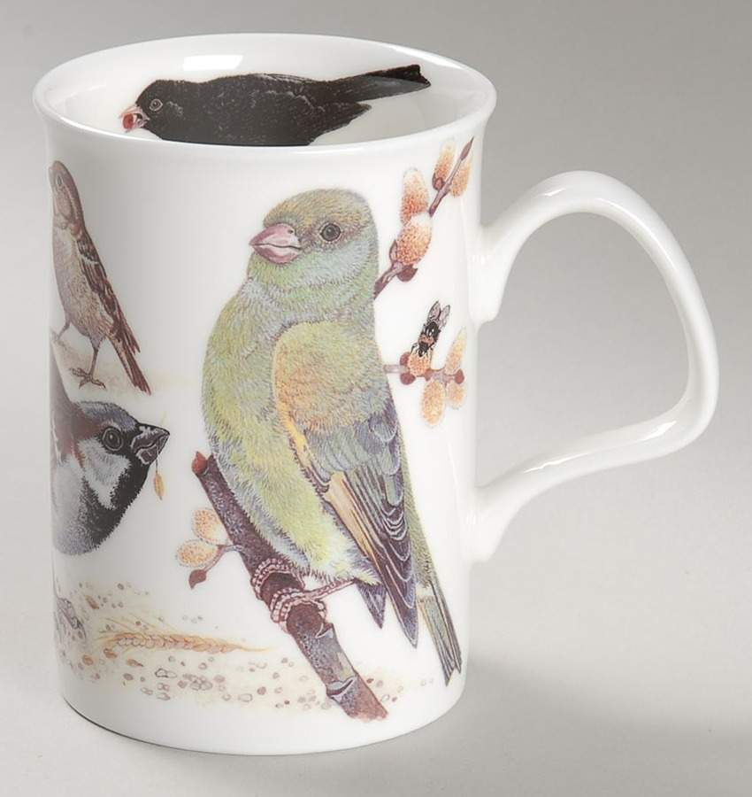 Garden Birds Lancaster Mug by Roy Kirkham-1