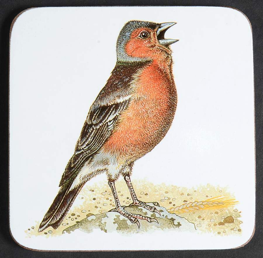 Garden Birds Square Corkback Coaster by Roy Kirkham-1