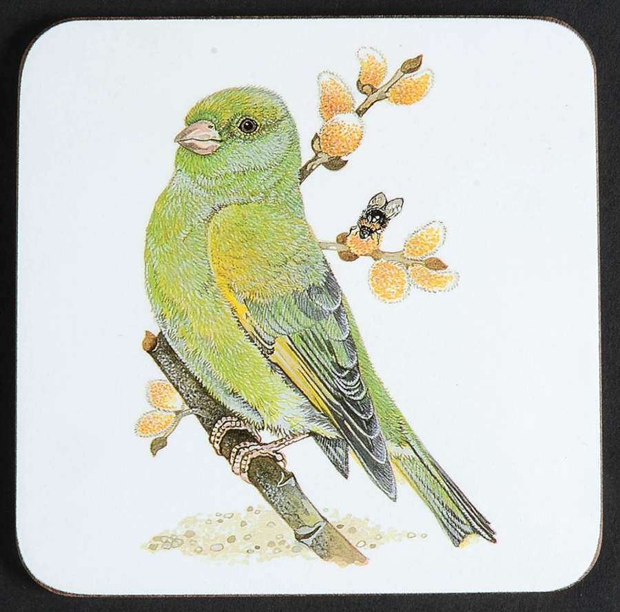 Garden Birds Square Corkback Coaster by Roy Kirkham-1