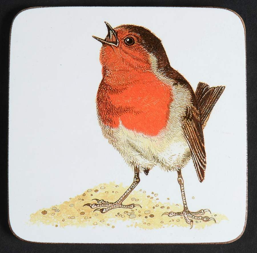 Garden Birds Square Corkback Coaster by Roy Kirkham-1