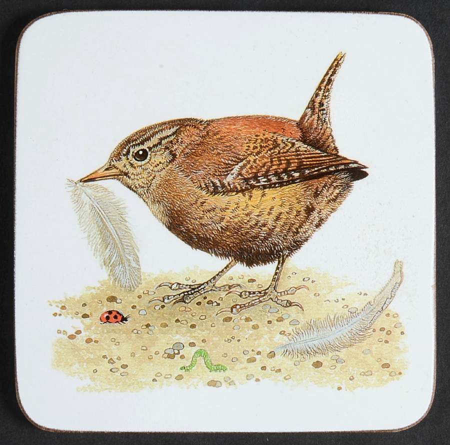 Garden Birds Square Corkback Coaster by Roy Kirkham-1