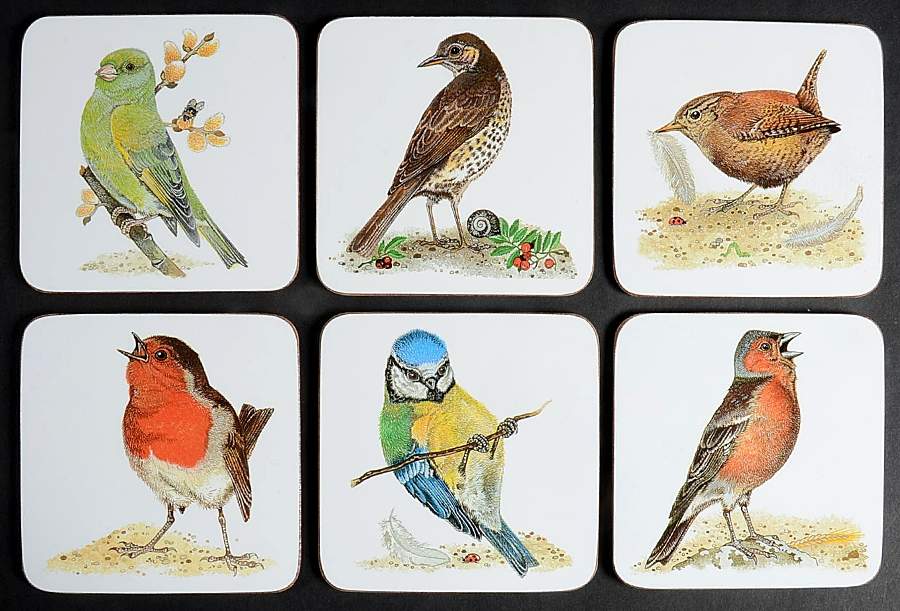 Garden Birds Square Corkback Coaster - Set of 6 Motifs by Roy Kirkham-1