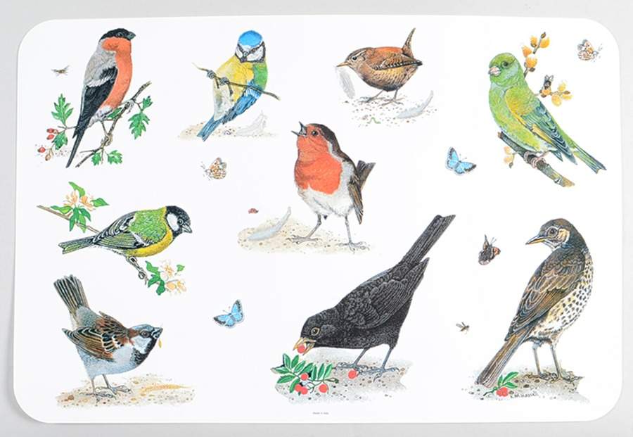 Garden Birds Plastic Placemat by Roy Kirkham-1