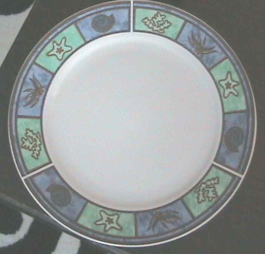 RNF49 Dinner Plate by Royal Norfolk-1