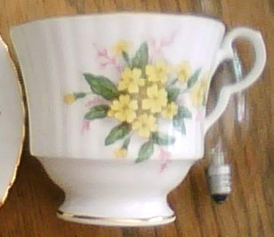 D3130-12 Footed Cup by Royal Windsor-1