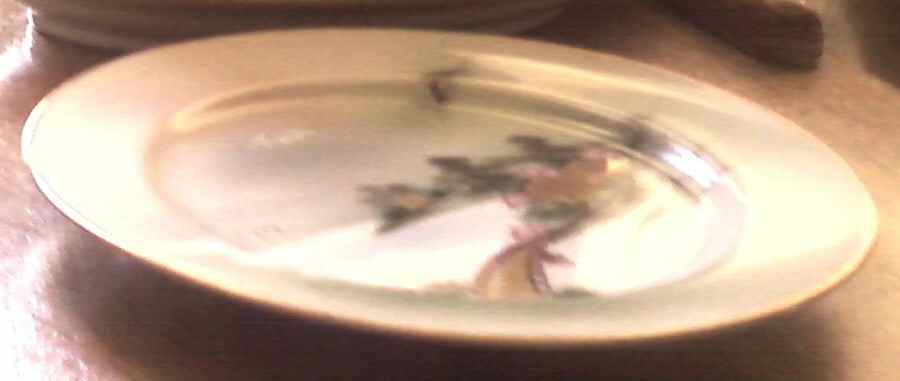 RKK2 Salad Plate by Rokko (Japan)-1