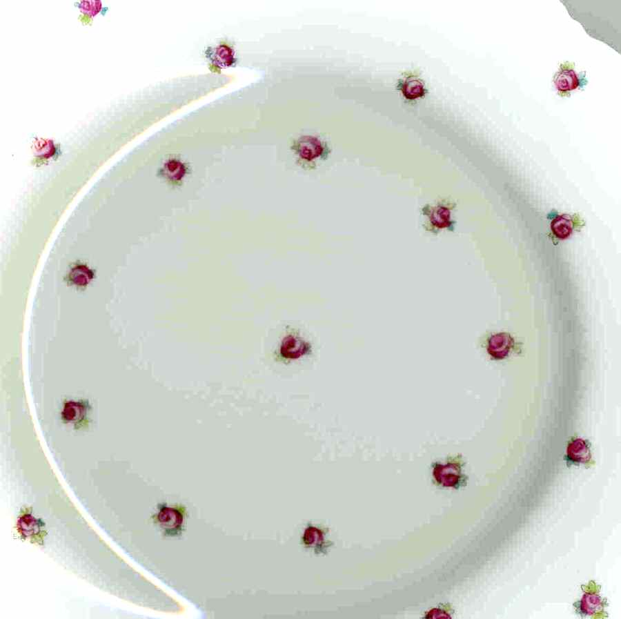K7121 Dinner Plate by Royal Cauldon-1